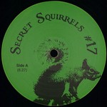 Secret Squirrels 17